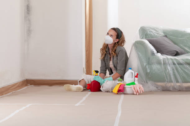 Reliable Commercial Mold Remediation contractor in Fairview, TN by WQB Mold Removal