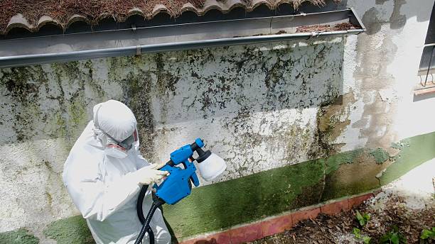 Top rated local Commercial Mold Remediation specialists in Fairview, TN